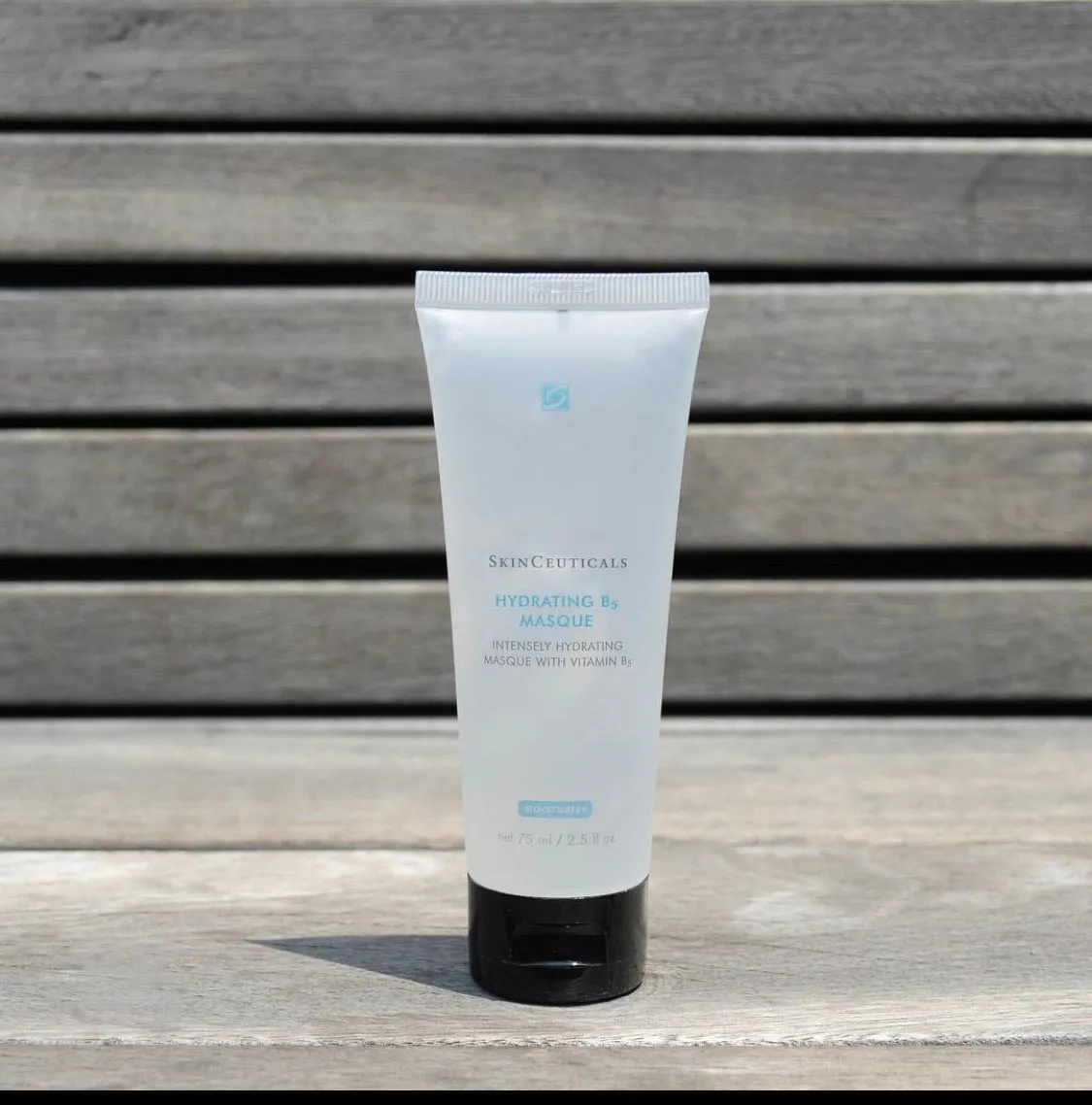 SkinCeuticals Hydrating B5 Mask